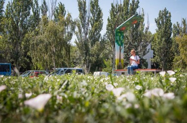 Лавка з сонячною батареєю від Фамільного дому для одеситів